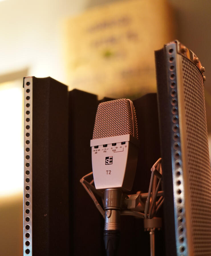 Mic face